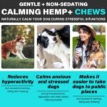 Calming Dog Treats 110 Count, Beef Flavored Hemp Calming Chews for Dogs, Helps with Dog Anxiety, Separation, Barking, Stress Relief, Sleep Calming Aid, for All Breeds & Sizes - Image 6