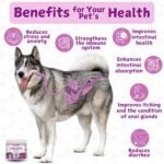 Dog Probiotics for gut health. Dog Probiotic Supplements. Pre and Probiotics for Dogs. Support digestive health, rebalance gut microbiome, aid digestion & boost the immune system. 120 Chews - Image 3