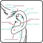 20/40pcs Ear Seeds Acupuncture Kit Stress Relief Sleep Aid Ear Acupuncture Portable for Daily Relaxation Pressure Point Massage(K-20pcs) - Image 4