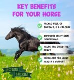 Healthy Skin 1kg | 100% Natural Skin & Coat Supplement, Burdock, Cleavers, Equine, Pony - Image 4