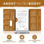 Nutra Tea NUTRABOOST - Energy Tea - Herbal Energy Boost Tea - Helps With Tiredness And Fatigue -Includes Green Tea, Ginseng & Ashwagandha - 120 Individual Wrapped Bags - Herbal Infusion (6 Pack) - Image 3
