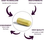 Nutripact Quercetin 500mg Supplement - High Strength Antioxidant Immune Support Pure Quercetin, One a Day Formula - Easy to Swallow - 60 Vegan Capsules - 2 Month Supply - Image 3