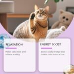 Cat Sedative | 60ml Grooming Sedative for Kitten Relieving,Anti-Aggression Sleep Support Supplement for Bathing Meowing Sleeping Daily Night Thunderstorm Travel Indoor - Image 6