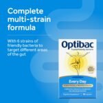 Optibac Probiotics Every Day - Vegan Digestive Probiotic Supplement - Most Trusted & Recommended Brand - Lactobacillus & Bifidobacterium - 90 Capsules - Image 4