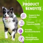 Liquid Probiotics for Dogs, 3 in 1 Dog Probiotic Drops, Prebiotic & Digestive Enzymes | Digestive Gut Flora Support, Relieve Diarrhea & Constipation, Probiotics for Dogs of All Ages and Breeds, 60ml - Image 3