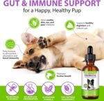 Liquid Probiotics for Dogs, 3 in 1 Dog Probiotic Drops, Prebiotic & Digestive Enzymes | Digestive Gut Flora Support, Relieve Diarrhea & Constipation, Probiotics for Dogs of All Ages and Breeds, 60ml - Image 5