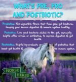 Microbiome Boost 2kg | Prebiotic, Probiotic and Postbiotic Supplement for Horses & Ponies, Gut Balancer, Supporting Equine Digestive Health, Immune Support - Image 4