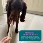 Protum Probiotic Paste for Dogs - 30ml Advanced Prebiotic Formula for Digestive Support - Tasty Flavour for Canine Gut Health - Aids Digestion, Diarrhea Recovery, and Wellness - Image 4