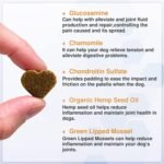 Senior Dog Joint Supplements with Glucosamine Chondroitin MSM - Hip & Joint Support for Dogs with Green Lipped Mussel, Turmeric, Omega 3 for Mobility & Comfort - Beef Flavour Dog Supplements - Image 4
