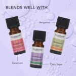 Tisserand Aromatherapy | Lavender - Ethically Harvested Essential Oil | Massage Oil, Aromatherapy Oil , Skin Oil, Oil For Diffuser | 100% Natural Pure Essential Oils | - Image 4