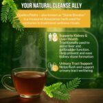 Quebra Pedra Teabags – Herbal Tea for Kidney & Liver Support – Diuretic & Antibacterial – Caffeine-Free – 40 Tea bags – 100% Pure Phyllanthus Niruri – Cha de Quebra Pedra - Image 5