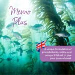 Healthspan Memo Plus (2 months' supply) | To support your brain Health & cognitive function | 350mg Advanced Phospholipid Complex | 179mg Omega 3 Fish Oil | 75µg Iodine | Friend of the Sea | One-a-day - Image 3