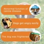 Qcwwy Relaxing Essential Oil for Dogs, Immune Support and Calming Effect, Easy to Use, Organic Ingredients, Stress Relief, Boosts Dog's Wellbeing with Seed Extract, Mix with (white) - Image 5