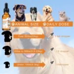 Qcwwy Relaxing Essential Oil for Dogs, Immune Support and Calming Effect, Easy to Use, Organic Ingredients, Stress Relief, Boosts Dog's Wellbeing with Seed Extract, Mix with (white) - Image 7