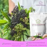 UKHealthHouse Elderberry Sambucus 5:1 Extract 1,000mg x 60 Tablets General Wellbeing Support Herbal Supplements for Men & Women Vegan Pills Tablet not Capsules - Image 5