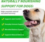 Natural Defence Drops for Dogs, 60 ml Herbal Liquid Supplement with Echinacea, Goldenseal & Pau D’Arco | Helps Maintain Immune Balance, Gut Health & Everyday Vitality | Suitable for All Breeds - Image 3