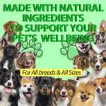 Natural Defence Drops for Dogs, 60 ml Herbal Liquid Supplement with Echinacea, Goldenseal & Pau D’Arco | Helps Maintain Immune Balance, Gut Health & Everyday Vitality | Suitable for All Breeds - Image 6