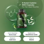 NAC N-Acetyl-Cysteine 600mg - 180 Capsules (6 Months Supply) - 1 per Day - Vegan & Gluten-Free NAC Supplement - Precursor to Glutathione - N-Acetyl-Cysteine Nutritional Supplements - Made in The UK - Image 3