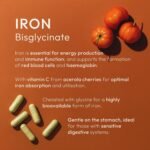 Gentle Iron – High Strength 24mg Iron Plus Natural Vitamin C – 180 Capsules - for Men and Women – Active & Bioavailable Form – UK Made Supplement – GMP Standards – Zero Additives – Vegan - Image 5
