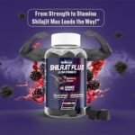 Shilajit Plus Gummies – 200mg Shilajit, 40mg Ashwagandha, 2mg Vitamin B6 – Vegan Elderberry Flavour – Energy, Vitality & Well-Being Support for Adults (1 Month Supply). - Image 4