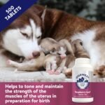 Dorwest Raspberry Leaf Tablets for Dogs And Cats, 500 Tablets, Pregnancy Support For Pets – For Natural Hormonal Balance and Phantom Pregnancies - Image 5