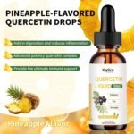 Quercetin & Bromelain Supplement - 700mg Quercetin High Absorption Liquid Drops - w/Elderberry, Zinc & Vitamin C - Anti-inflammatory, Antioxidant and Immune System - 2 fl oz (60 mL) - Image 3