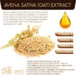 VITA PHARMA Avena Sativa 8000mg 60 Capsules, Calming & Support with Sleep, Supports Brain Function & Mental Clarity, Helps Regulate Blood Sugar - Image 4