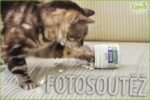 Canvit Cat Vitamins For Immune Support | Supplements & Vitamins for Cats | Taurine for cats | Cat Multivitamins | Cat Vitamins Supplements for Immune Booster For Cats And Kittens | 100g 90 Tabs - Image 7