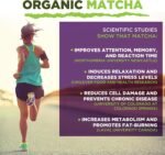 Organic Matcha Green Tea (200g), Natural Energy Drink & Ergogenic Aid | MySuperfoods - Image 5