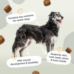 Senior Support Soft Chew Dog Supplements - Daily Care for Senior & Adult Dogs – Supports Brain, Joint & Immune Health with Taurine, Turkey Tail Mushrooms & Omega 3 EPA & DHA – 120 Soft Chews - Image 5