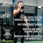 Freak Athletics Creatine Monohydrate Powder 500g (142 Servings Unflavoured) 100% Micronised Creatine Powder - Image 7