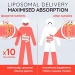 Liposomal Vitamin B Complex High Strength and Bioavailability - 8 Essential B Vitamins Complex for Energy, Brain, Metabolism Support - Tropical Flavour (50 Servings) - Image 6