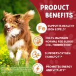 Liquid Iron Supplements for Dogs,LiquiI Iron Drops with Folate VC and B12,Supports Anemia, Low Enery Levels and Lethargy,Promotes Blood Health, Helps with Formation of Red Blood Cell- 2 fl.oz - Image 5