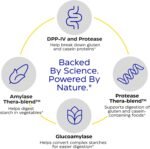 Enzymedica, GlutenEase Extra Strength, Gluten Digestive Support, 60 Capsules, Vegan, Soy-Free - Image 5