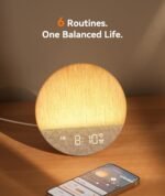 Dreamegg Sunrise Alarm Clock Wake-Up Light with App Control, Sunset Sleep Feature, 34 Soothing Sounds, Mood Lights, Custom Routines, Favourites Mode, Sound Machine for Adults & Baby, Bedroom & Gift - Image 6