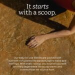 Aduna Organic Good Gut Superfood Blend | 100% Natural Stir-in Blend With 10+ Superfoods for Digestion, Gut Health & Prebiotic Fibre | Vegan Powder for Smoothies, Porridge & Yoghurt | 250g - Image 5