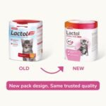 Beaphar - Lactol Kitten Milk 500g - Milk Replacer & Complete Feed for Newborn & Weaning Kittens – For growth & development – Contains DHA, Taurine & Vitamins – Ideal for Hand-Rearing – Use from Birth - Image 3
