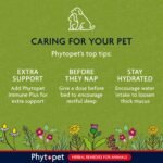 PhytoPet Mullein Complex | 30ml |100% Natural Herbal Remedy | Coughs and Respiratory Support | for Dogs, Cats, Horses, Birds, Pets | - Image 6