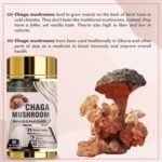 Vitaminnica Chaga Mushroom- 60 Capsules | Natural Antioxidant Support for Immune System | Vegan Mushroom Supplement - Image 5