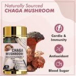 Vitaminnica Chaga Mushroom- 60 Capsules | Natural Antioxidant Support for Immune System | Vegan Mushroom Supplement - Image 6