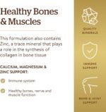 Solgar® Calcium Magnesium Plus Zinc Tablets - Pack of 200 - Healthy Bones, Teeth & Muscles - Supports Health of Nervous System - Vegan - Image 4