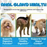 High-Fibre Digestive Support Chews for Dogs, Pumpkin & Natural Fibre Blend Supplement for Everyday Gut Wellness, Regularity & Stool Quality, Gentle Daily Chew Treats, 300g - Image 4