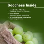 Mi Nature Amla Tablets -90 Tablets,1000mg | 100% Natural Amla Tablet | Amalaki | phyllanthus emblica | Immunity Booster | Vitamin C | Gluten Free | Vegan | from India - Image 4