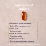 Higher Nature - Complete Omegas 3:6:7:9 - True Food® Formula - Fish Oils with Borage Oil & Virgin Olive Oil - Supports Vision, Brain Function & Cardio Health - Omega 3 6 7 9 Fatty Acids - 90 Capsules - Image 4