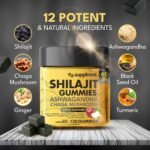 Shilajit Gummies with Ashwagandha, Chaga Mushroom, Ginger, Turmeric, Black Seed Oil, Ginseng, Vitamins C, B12, D, Zinc, Ceylon Cinnamon, 120 Gummies, 60 Day Supply, Apple Flavour - Image 3