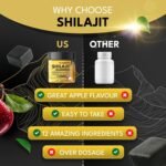 Shilajit Gummies with Ashwagandha, Chaga Mushroom, Ginger, Turmeric, Black Seed Oil, Ginseng, Vitamins C, B12, D, Zinc, Ceylon Cinnamon, 120 Gummies, 60 Day Supply, Apple Flavour - Image 4