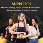 Shilajit Gummies with Ashwagandha, Chaga Mushroom, Ginger, Turmeric, Black Seed Oil, Ginseng, Vitamins C, B12, D, Zinc, Ceylon Cinnamon, 120 Gummies, 60 Day Supply, Apple Flavour - Image 5