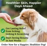Nutri Fauna Anti-Itch Treats for Dogs – 150 Soft Chews – Skin & Immune Support – Soothes Itchy Paws, Eyes, Ears & Skin – Duck Flavour Natural Supplement for Dogs - Image 4