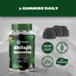Shilajit Gummies with Lion’s Mane, Sea Moss, Ashwagandha, Rhodiola, Magnesium, Turmeric, Ginger, Vitamins D3 and Zinc - 60 Vegan Gummies - Image 4
