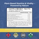 Natagra 1000mg Natural Male Vitality Supplement – Herbal Blend with Maca, Tribulus Terrestris, Ginseng – Supports Energy and Well-Being – Vegan & UK Made - 20 Capsules - Image 6